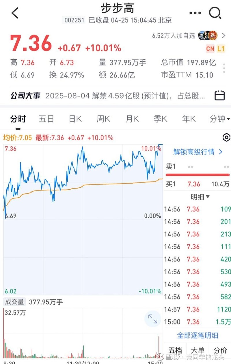 步步高股票，探索企业成长之路与股票价值潜力（股票代码，002251）